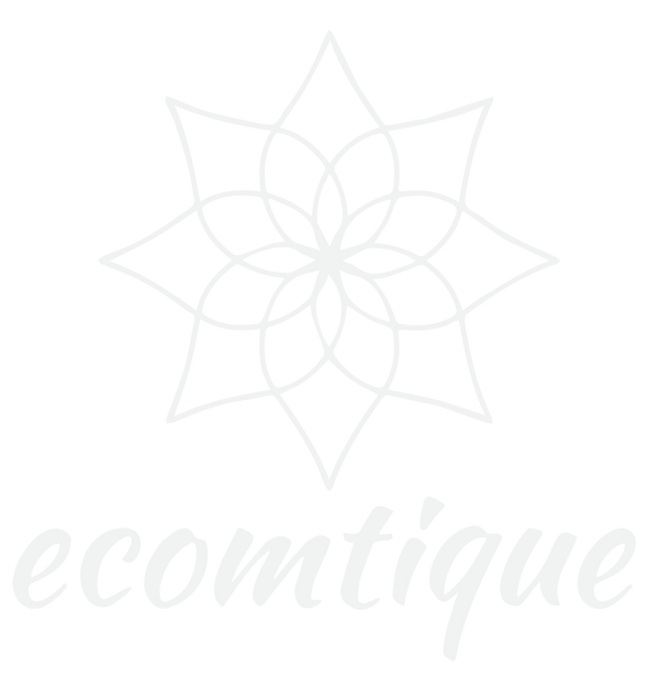 Ecomtique logo
